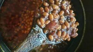 娱乐吃瓜酱地下室霉味,霉味背后的秘密